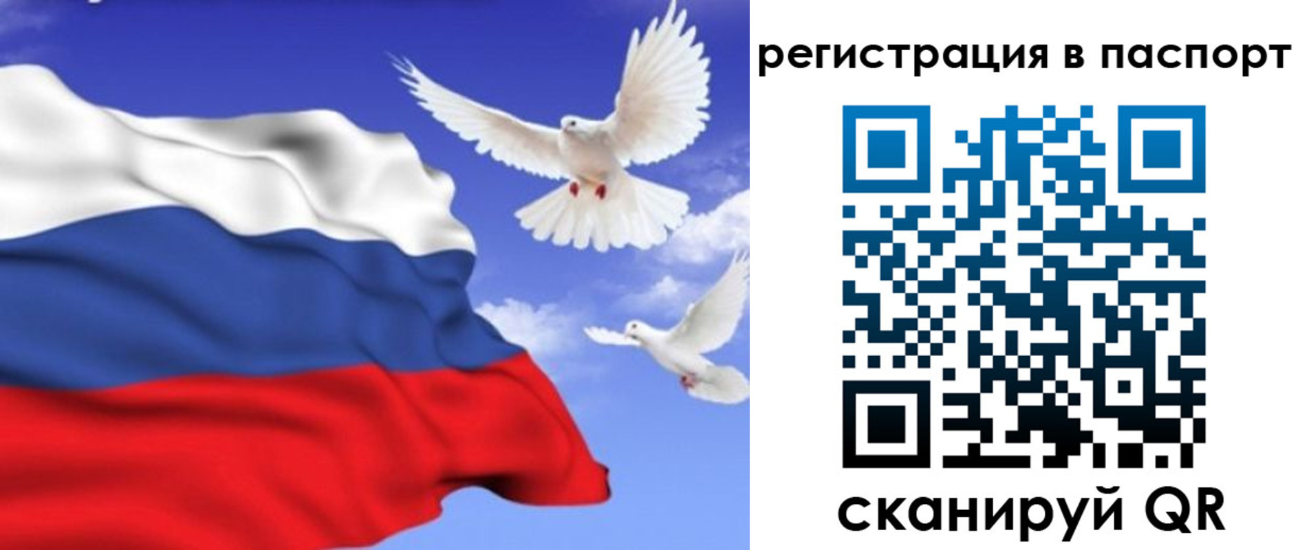 купить прописку в Фролово
